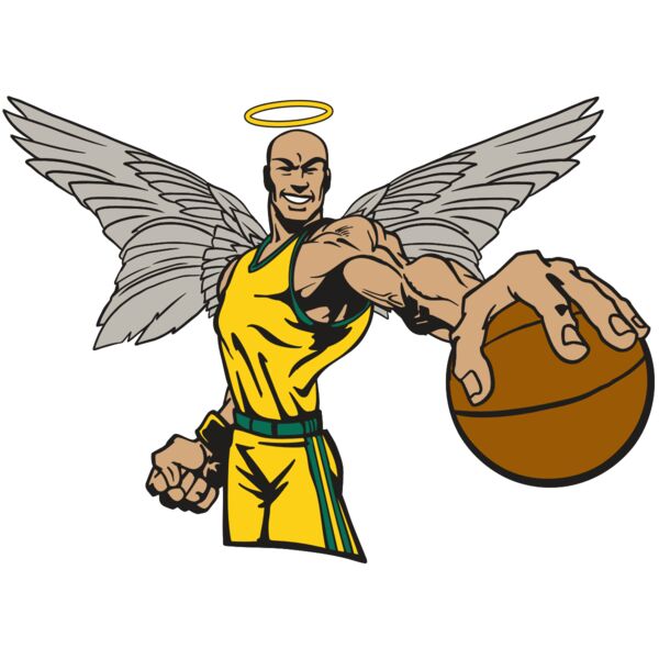 AR17 ANGEL BSKT 06 RQC Thumbnail